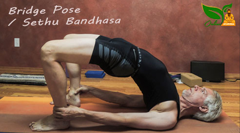 Bridge Pose or Sethu Bandhasa image