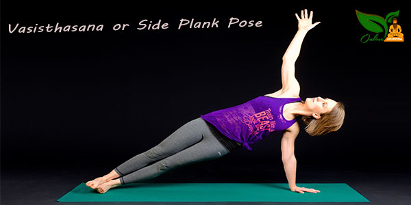 Vasisthasana or Side Plank Pose Image